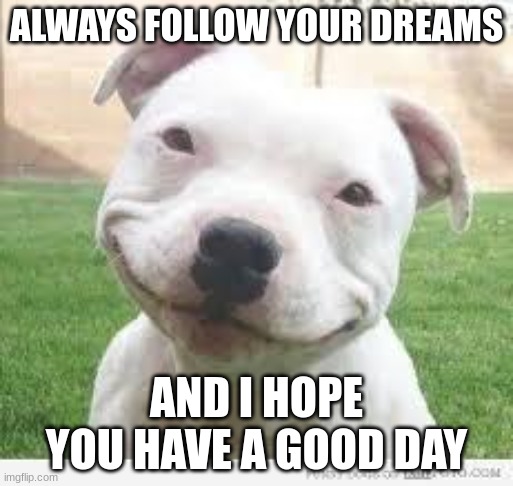 hope you have a good time :) | ALWAYS FOLLOW YOUR DREAMS; AND I HOPE YOU HAVE A GOOD DAY | image tagged in happy friday puppy | made w/ Imgflip meme maker