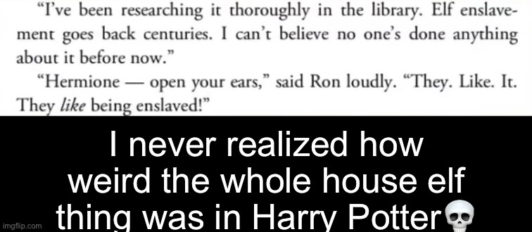 . | I never realized how weird the whole house elf thing was in Harry Potter💀 | made w/ Imgflip meme maker