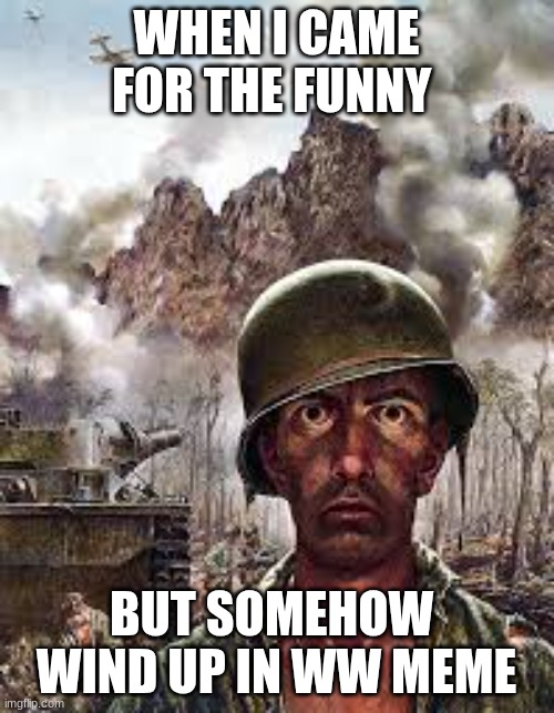WHEN I CAME FOR THE FUNNY BUT SOMEHOW  WIND UP IN WW MEME | image tagged in thousand yard stare | made w/ Imgflip meme maker