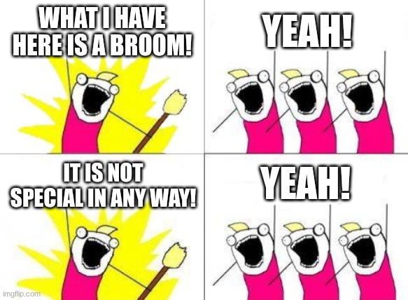What Do We Want Meme | WHAT I HAVE HERE IS A BROOM! YEAH! YEAH! IT IS NOT SPECIAL IN ANY WAY! | image tagged in memes,what do we want | made w/ Imgflip meme maker
