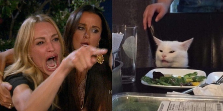 Real Housewives woman yelling, cat at table Blank Meme Template