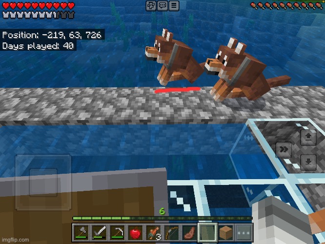 sometimes i wonder why minecraft considers air as a block sometimes | image tagged in dogs,minecraft | made w/ Imgflip meme maker