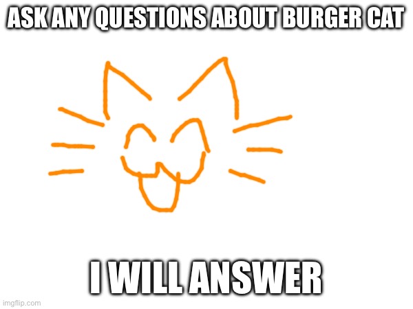ASK ANY QUESTIONS ABOUT BURGER CAT; I WILL ANSWER | made w/ Imgflip meme maker