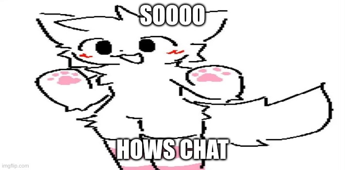 :3 | SOOOO; HOWS CHAT | made w/ Imgflip meme maker