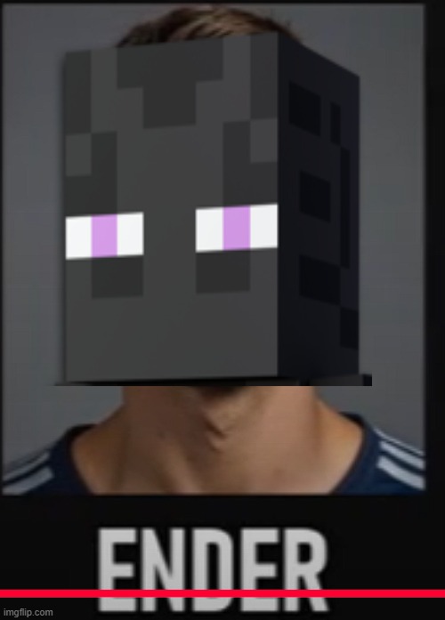 ENDERMAN?!?! | image tagged in minecraft,memes,ender,enderman | made w/ Imgflip meme maker
