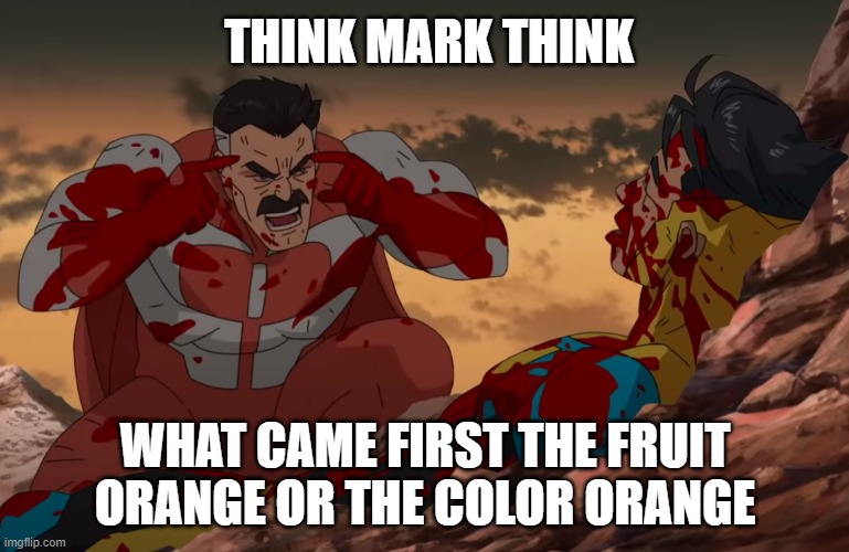 Think Mark, Think | THINK MARK THINK; WHAT CAME FIRST THE FRUIT ORANGE OR THE COLOR ORANGE | image tagged in think mark think | made w/ Imgflip meme maker