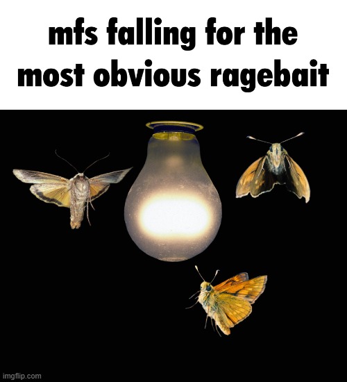image tagged in ragebait | made w/ Imgflip meme maker