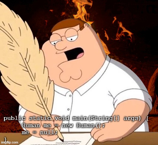peter fire writing | public static void main(String[] args) {
     Human me = new Human();
     me = null;
} | image tagged in peter fire writing | made w/ Imgflip meme maker