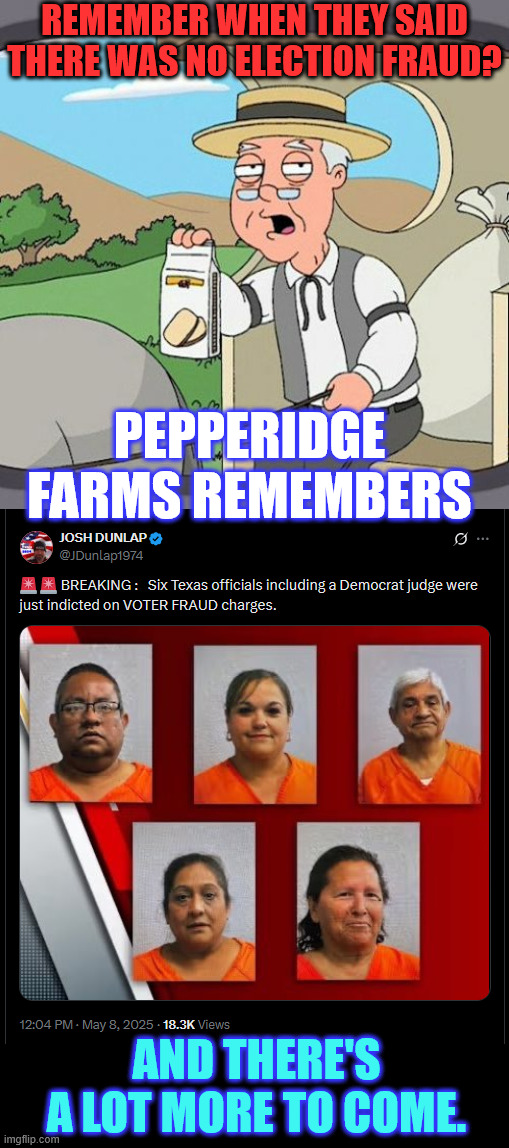 And they said there was no voter fraud | REMEMBER WHEN THEY SAID THERE WAS NO ELECTION FRAUD? PEPPERIDGE FARMS REMEMBERS; AND THERE'S A LOT MORE TO COME. | image tagged in memes,pepperidge farm remembers,voter fraud,exposed | made w/ Imgflip meme maker