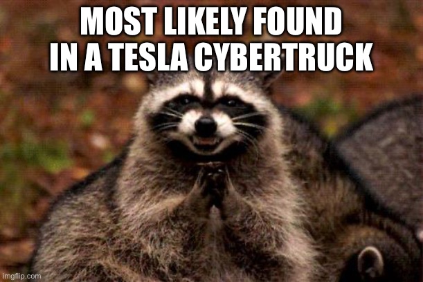Evil Plotting Raccoon Meme | MOST LIKELY FOUND IN A TESLA CYBERTRUCK | image tagged in memes,evil plotting raccoon | made w/ Imgflip meme maker