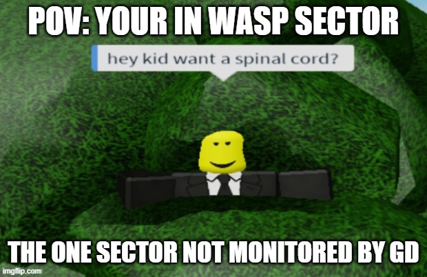 Want some spinal cord | POV: YOUR IN WASP SECTOR; THE ONE SECTOR NOT MONITORED BY GD | image tagged in want some spinal cord | made w/ Imgflip meme maker