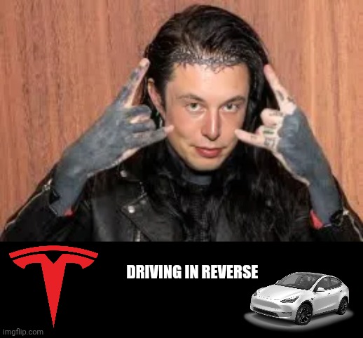 Driving in Reverse | DRIVING IN REVERSE | image tagged in face swap,elon musk,tesla | made w/ Imgflip meme maker