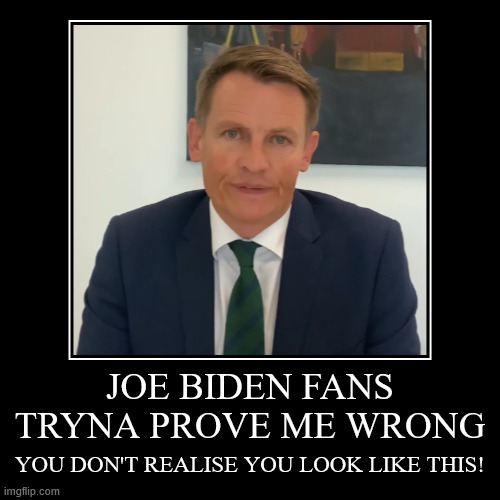 JOE BIDEN FANS TRYNA PROVE ME WRONG | YOU DON'T REALISE YOU LOOK LIKE THIS! | image tagged in funny,demotivationals | made w/ Imgflip demotivational maker