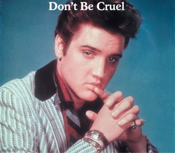 image tagged in elvis don't be cruel | made w/ Imgflip meme maker