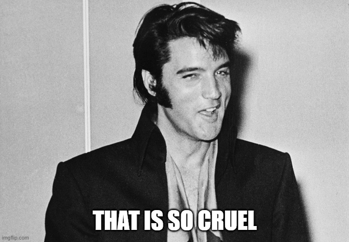 THAT IS SO CRUEL | image tagged in elvis | made w/ Imgflip meme maker