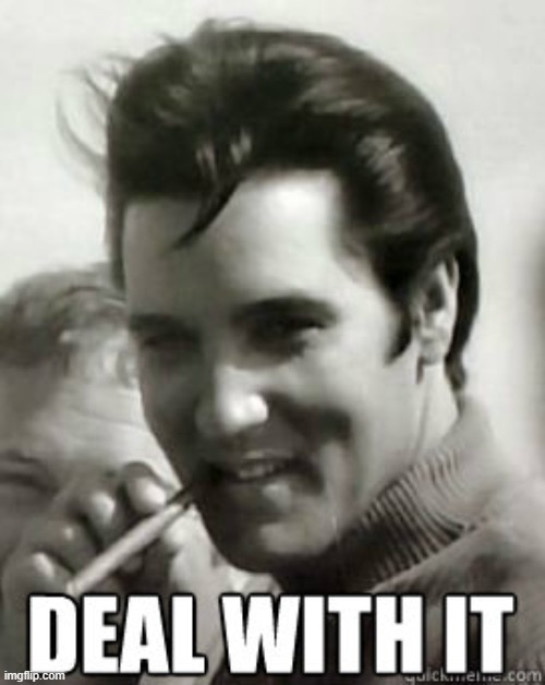 image tagged in deal with it | made w/ Imgflip meme maker