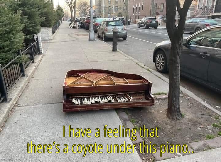 I have a feeling that there’s a coyote under this piano.. | image tagged in cartoons | made w/ Imgflip meme maker
