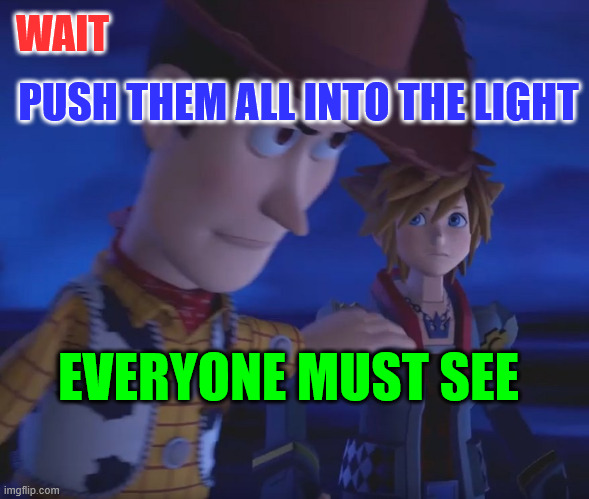 The light | WAIT; PUSH THEM ALL INTO THE LIGHT; EVERYONE MUST SEE | image tagged in woody stopping sora meme template,light,exposed | made w/ Imgflip meme maker