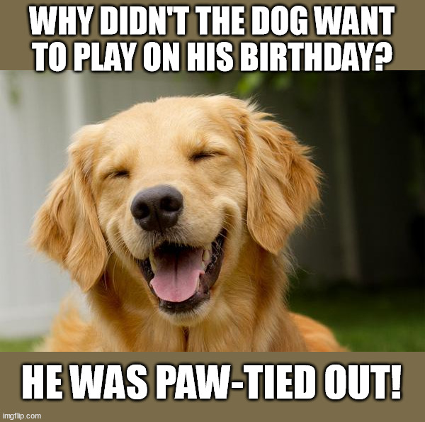 Happy Dog | WHY DIDN'T THE DOG WANT TO PLAY ON HIS BIRTHDAY? HE WAS PAW-TIED OUT! | image tagged in happy dog | made w/ Imgflip meme maker