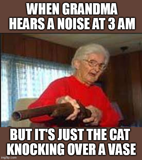 Grandma Holds a Gun | WHEN GRANDMA HEARS A NOISE AT 3 AM; BUT IT'S JUST THE CAT 
KNOCKING OVER A VASE | image tagged in grandma holds a gun | made w/ Imgflip meme maker
