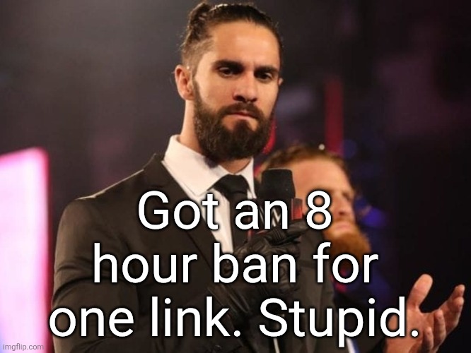 People know it was a porn link. They wouldn't have clicked on it anyway. | Got an 8 hour ban for one link. Stupid. | image tagged in seth rollins | made w/ Imgflip meme maker