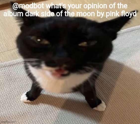 Cat of anger | @modbot what's your opinion of the album dark side of the moon by pink floyd | image tagged in cat of anger | made w/ Imgflip meme maker