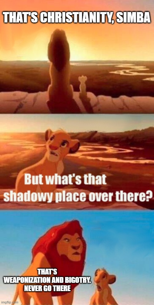 Simba Shadowy Place Meme | THAT'S CHRISTIANITY, SIMBA; THAT'S WEAPONIZATION AND BIGOTRY. NEVER GO THERE | image tagged in memes,simba shadowy place | made w/ Imgflip meme maker