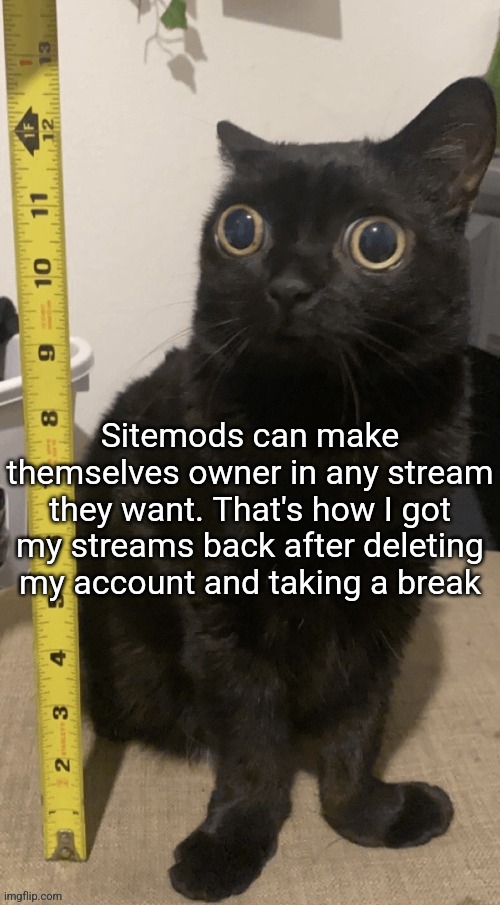 H | Sitemods can make themselves owner in any stream they want. That's how I got my streams back after deleting my account and taking a break | image tagged in h | made w/ Imgflip meme maker