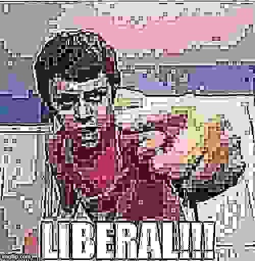 LIBERALLLL!!!! | image tagged in funny,jpegcompressed | made w/ Imgflip meme maker