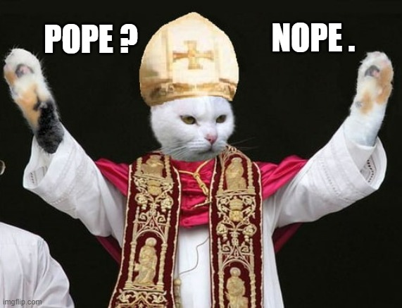 A cat as the pope? I say nope.  - funny - | NOPE . POPE ? | image tagged in cats,funny,kitten,humor,pope | made w/ Imgflip meme maker