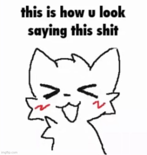this is how u look saying this shit | image tagged in this is how u look saying this shit | made w/ Imgflip meme maker