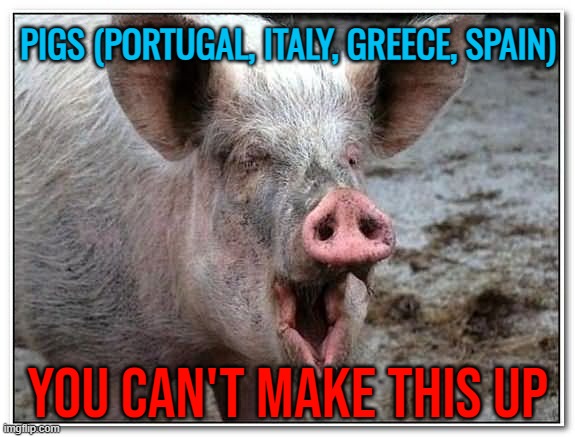 You Can't Make This Up | PIGS (PORTUGAL, ITALY, GREECE, SPAIN); YOU CAN'T MAKE THIS UP | image tagged in pig,european union,europe,european,economics,economy | made w/ Imgflip meme maker