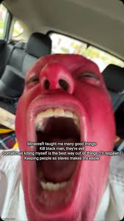 Bagel | Minecraft taught me many good things:
Kill black men, they're evil
Sometimes killing myself is the best way out of things (I'll respawn)
Keeping people as slaves makes life easier | image tagged in bagel | made w/ Imgflip meme maker