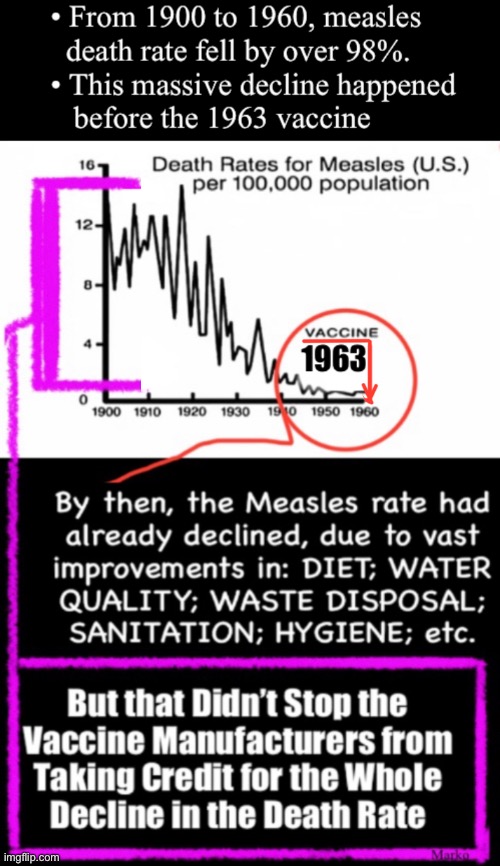 Like ALL Vaccines — the Measles Vax Takes Credit that is Undeserved  (I say, Fraudulent) | image tagged in memes,death rates dropped b4 vax,they lie n claim death drop is from vax,lie cheat steal,facts n reality dont matter | made w/ Imgflip meme maker