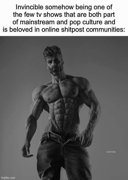 Usually, a tv show as popular as Invincible is something like Friends | Invincible somehow being one of the few tv shows that are both part of mainstream and pop culture and is beloved in online shitpost communities: | image tagged in giga chad | made w/ Imgflip meme maker
