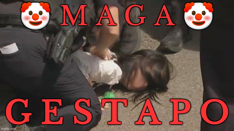 Gestapo | 🤡 M A G A 🤡; G E S T A P O | image tagged in trump,gop,maga,nazi,fascist,gestapo | made w/ Imgflip meme maker