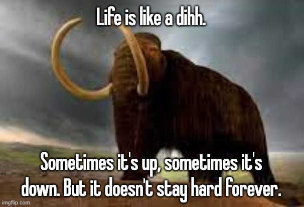 WiseMysticalMammoth 2: Electric Boogaloo | Life is like a dihh. Sometimes it's up, sometimes it's down. But it doesn't stay hard forever. | image tagged in wisemysticalmammoth 2 electric boogaloo | made w/ Imgflip meme maker