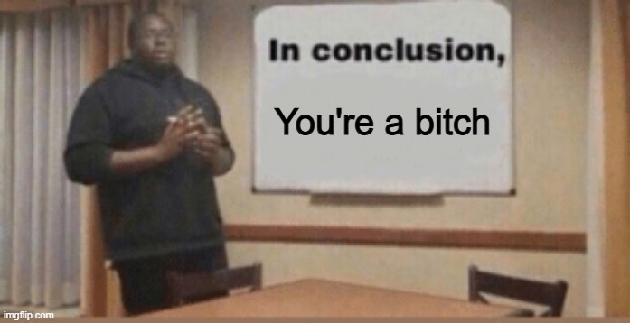 TLDR | You're a bitch | image tagged in in conclusion | made w/ Imgflip meme maker
