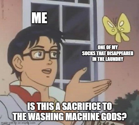 Is This A Pigeon | ME; ONE OF MY SOCKS THAT DISAPPEARED IN THE LAUNDRY; IS THIS A SACRIFICE TO THE WASHING MACHINE GODS? | image tagged in memes,is this a pigeon,socks,laundry | made w/ Imgflip meme maker