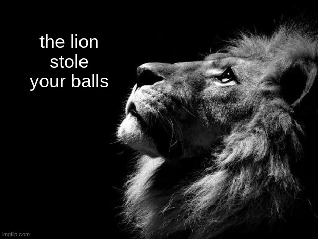 sad lion | the lion stole your balls | image tagged in sad lion | made w/ Imgflip meme maker