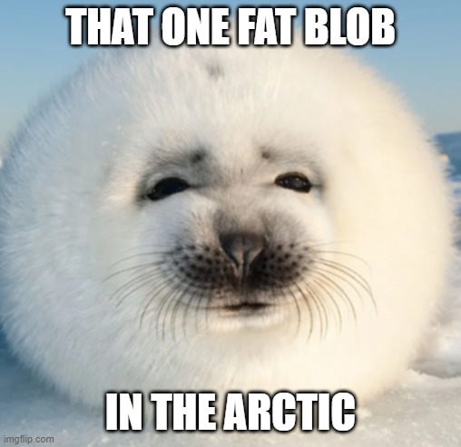 Fat Blob | THAT ONE FAT BLOB; IN THE ARCTIC | image tagged in arctic,north pole,seal,arctic seal,funny,fat | made w/ Imgflip meme maker
