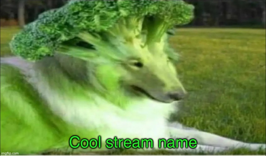 Broco dogo | Cool stream name | image tagged in broco dogo | made w/ Imgflip meme maker
