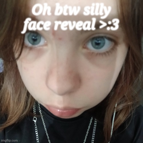 I reused an image bc i look like shit rn | Oh btw silly face reveal >:3 | image tagged in face reveal,xoxosilly | made w/ Imgflip meme maker