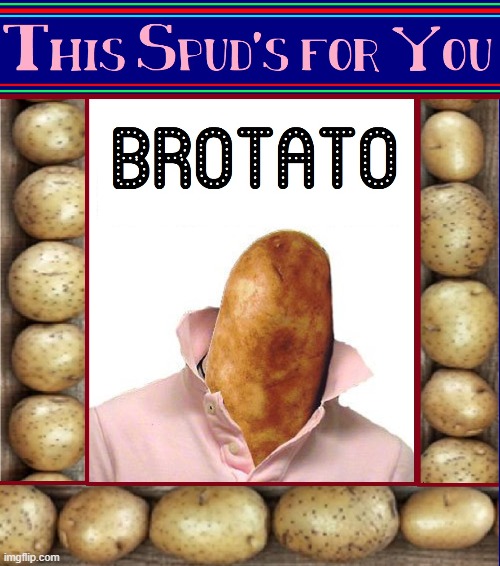 Haters Gonna Hate; Potatoes Gonna Potate | image tagged in vince vance,bro,potato,potatoes,college,memes | made w/ Imgflip meme maker