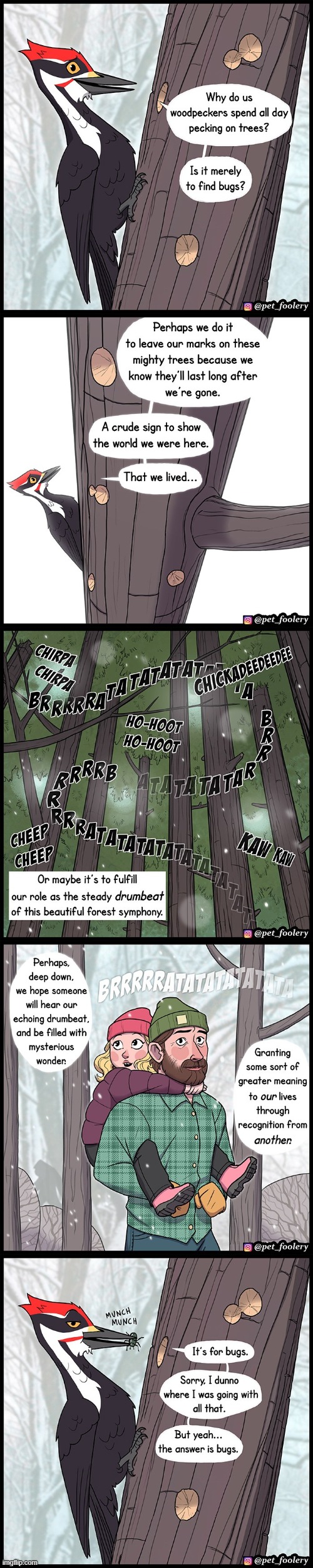 image tagged in woodpecker,trees,marks,symphony,sounds,bugs | made w/ Imgflip meme maker