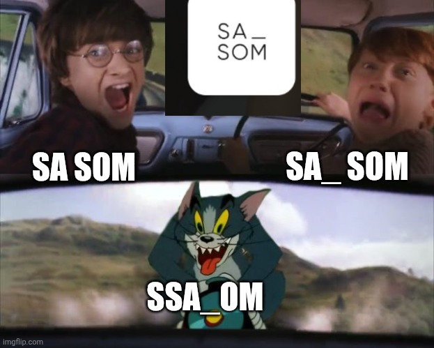 What spelled correctly? | SA_ SOM; SA SOM; SSA_OM | image tagged in tom chasing harry and ron weasly | made w/ Imgflip meme maker
