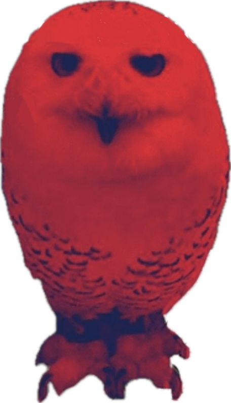 red owl Blank Meme Template