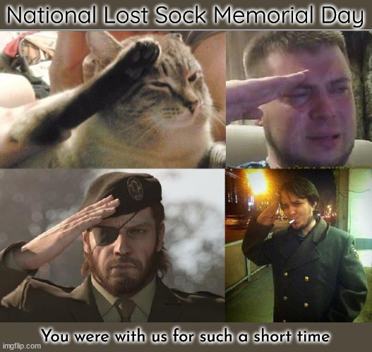 National Lost Sock Memorial Day | National Lost Sock Memorial Day; You were with us for such a short time | image tagged in sad salute,lost sock,memorial,oh wow are you actually reading these tags | made w/ Imgflip meme maker