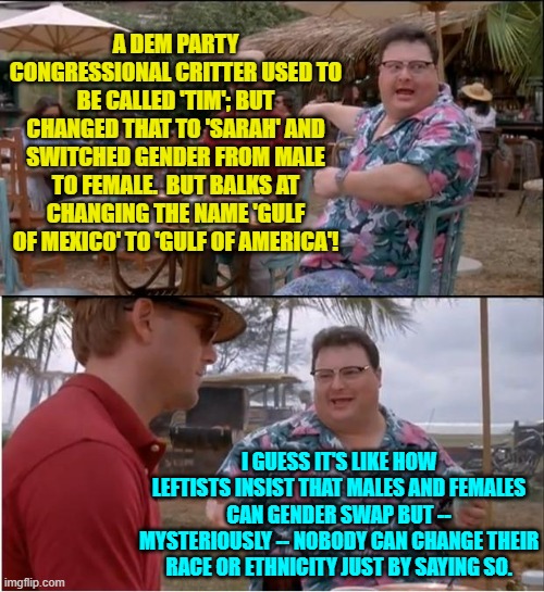 Being a leftist is dedicating oneself to  . . . crazy. | A DEM PARTY CONGRESSIONAL CRITTER USED TO BE CALLED 'TIM'; BUT CHANGED THAT TO 'SARAH' AND SWITCHED GENDER FROM MALE TO FEMALE.  BUT BALKS AT CHANGING THE NAME 'GULF OF MEXICO' TO 'GULF OF AMERICA'! I GUESS IT'S LIKE HOW LEFTISTS INSIST THAT MALES AND FEMALES CAN GENDER SWAP BUT -- MYSTERIOUSLY -- NOBODY CAN CHANGE THEIR RACE OR ETHNICITY JUST BY SAYING SO. | image tagged in see nobody cares | made w/ Imgflip meme maker