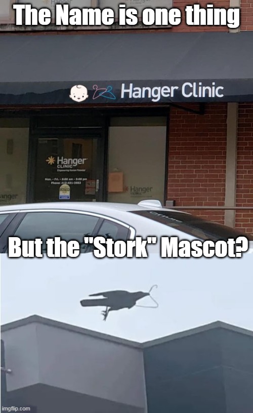 They really Did use Coat Hangers | The Name is one thing; But the "Stork" Mascot? | image tagged in hanger clinic stork meme | made w/ Imgflip meme maker